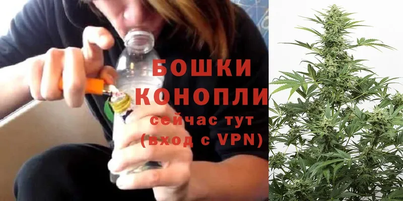 Конопля OG Kush  Всеволожск 